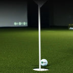 TIGS Money Putt Golf Turf