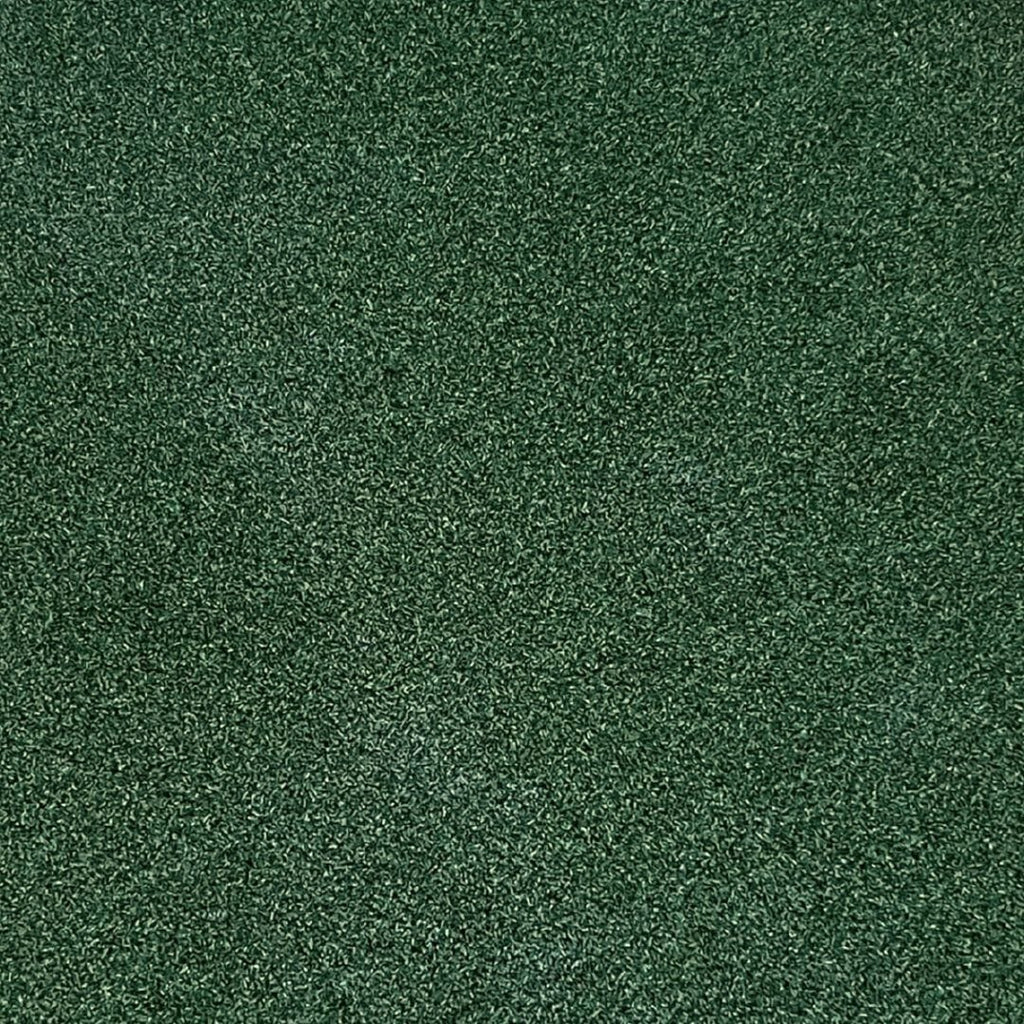 TIGS Money Putt Golf Turf